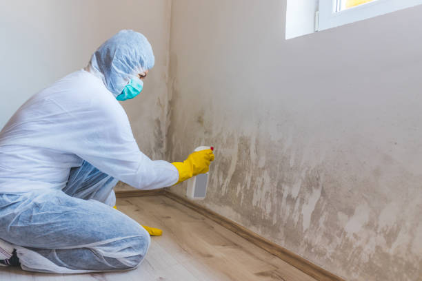 Hvac And Air Duct Mold Remediation inspection of HVAC system in Norcross