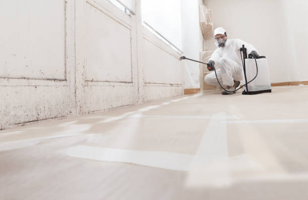 Black mold remediation team in Norcross
